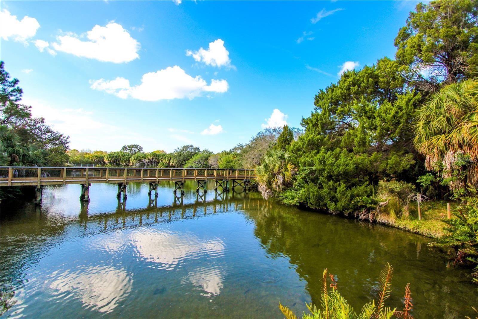 3710 DE SOTO BLVD, PALM HARBOR, FL, 34683
