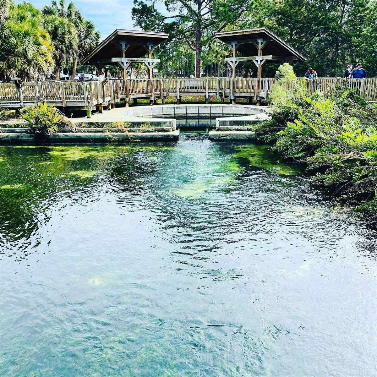 3710 DE SOTO BLVD, PALM HARBOR, FL, 34683