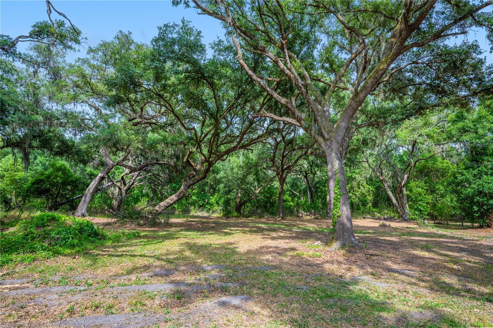 4314 STRAUSS RD, PLANT CITY, FL, 33565