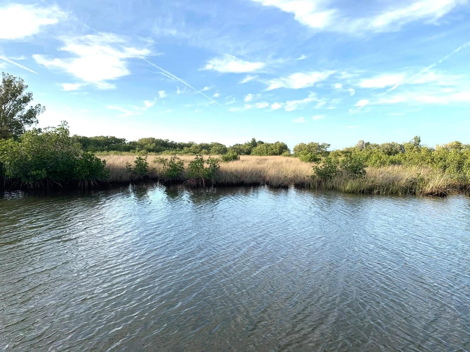 6733 DRIFTWOOD DR, HUDSON, FL, 34667