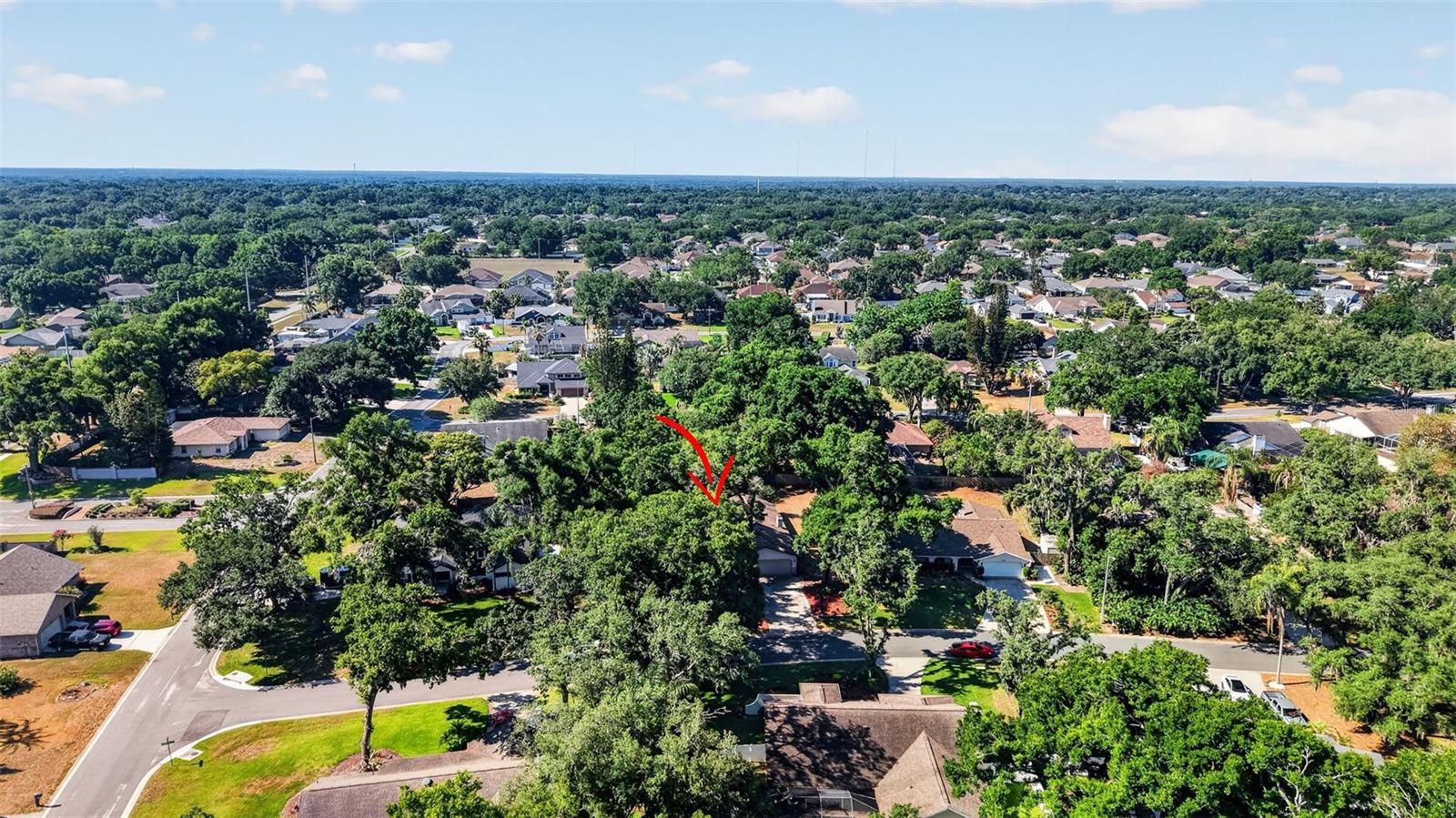 2713 WILLOW OAKS DR, VALRICO, FL, 33594
