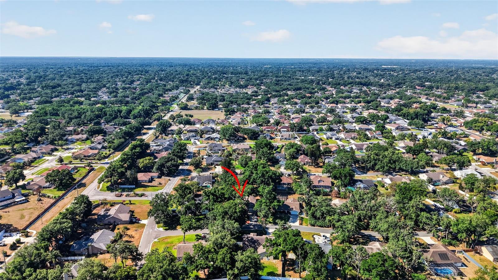 2713 WILLOW OAKS DR, VALRICO, FL, 33594