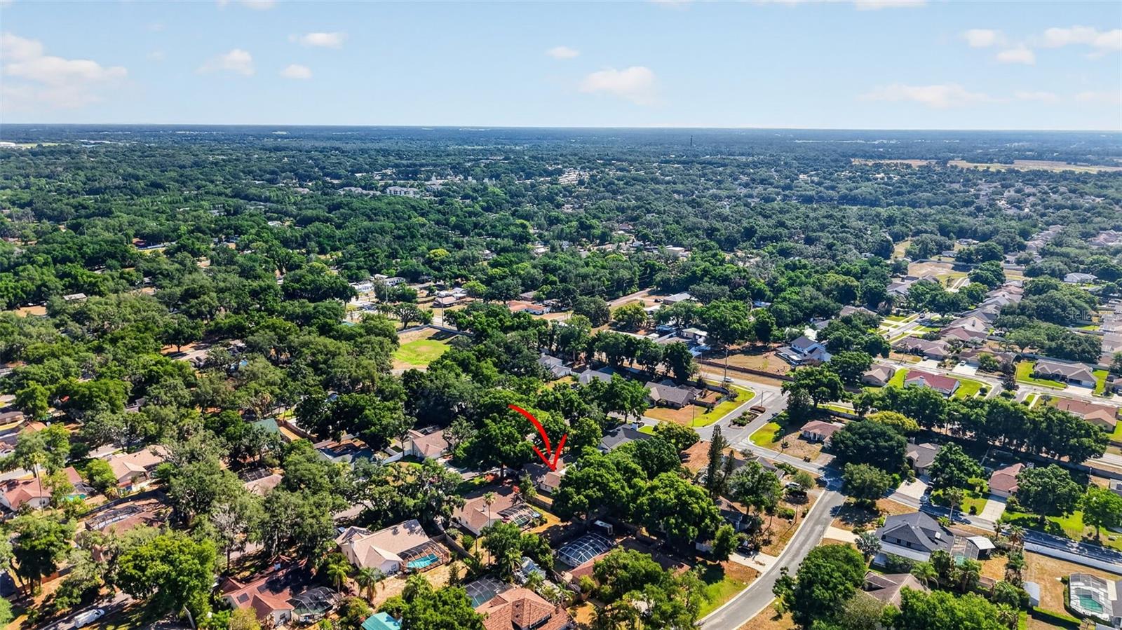 2713 WILLOW OAKS DR, VALRICO, FL, 33594