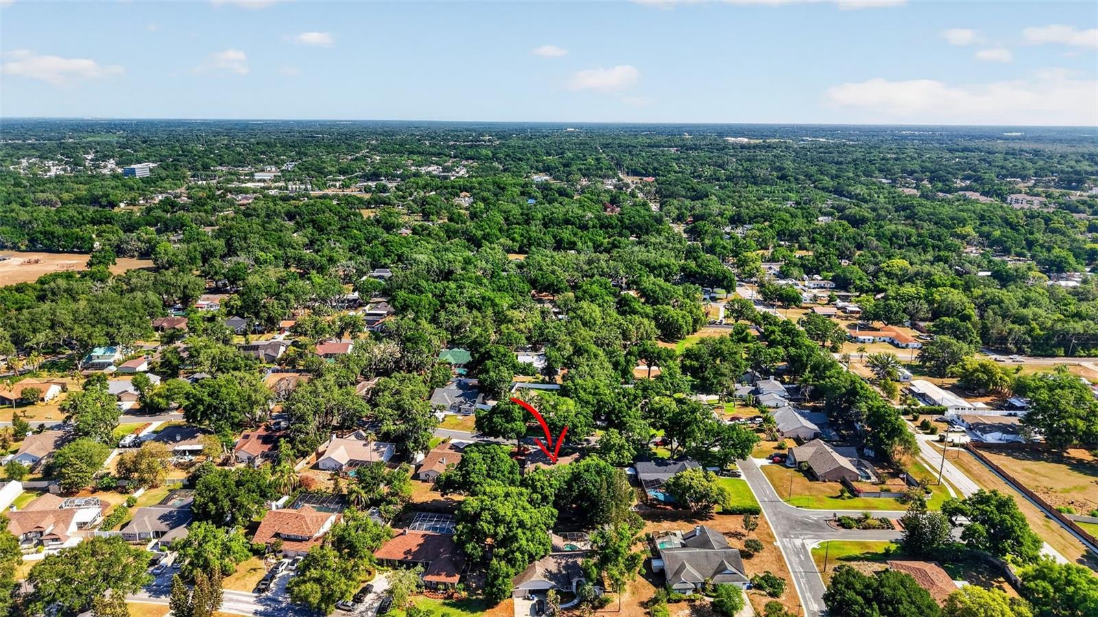 2713 WILLOW OAKS DR, VALRICO, FL, 33594