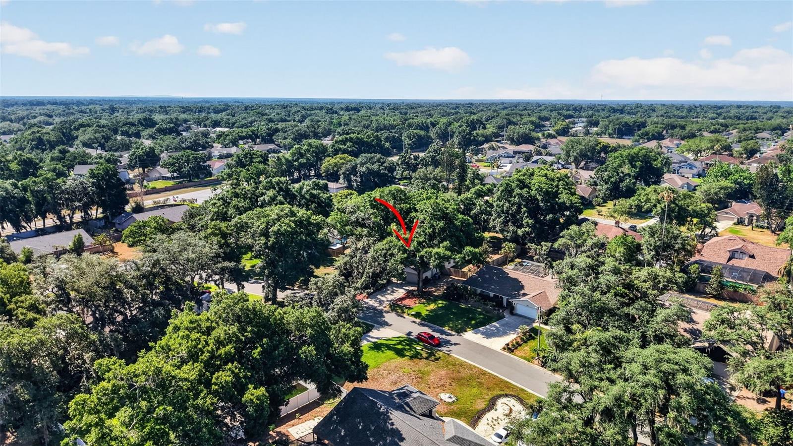 2713 WILLOW OAKS DR, VALRICO, FL, 33594
