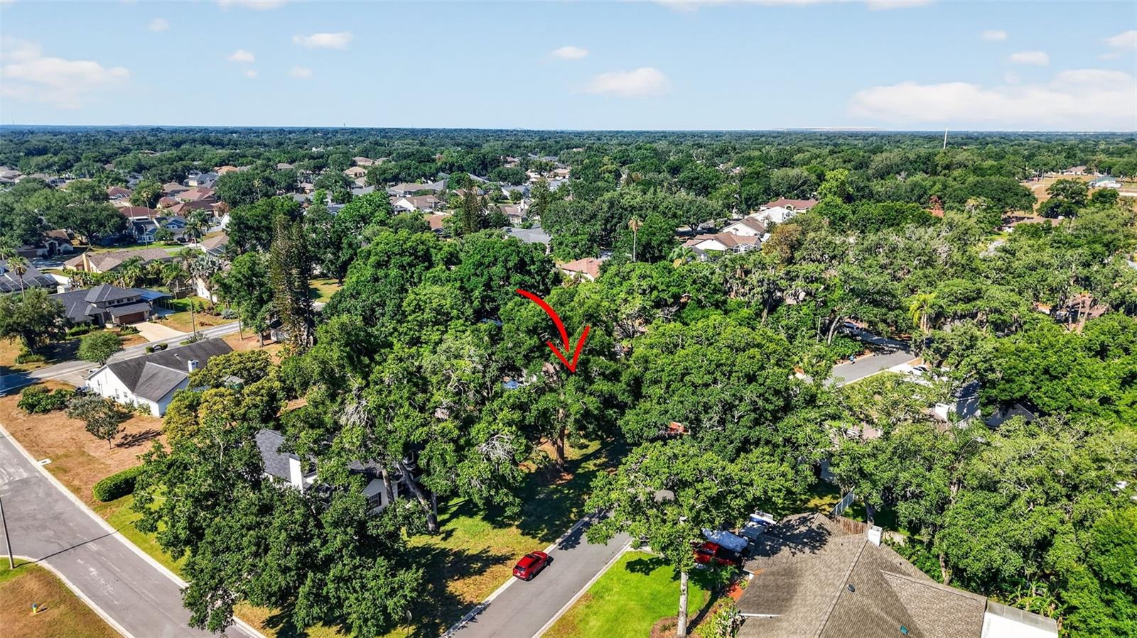 2713 WILLOW OAKS DR, VALRICO, FL, 33594