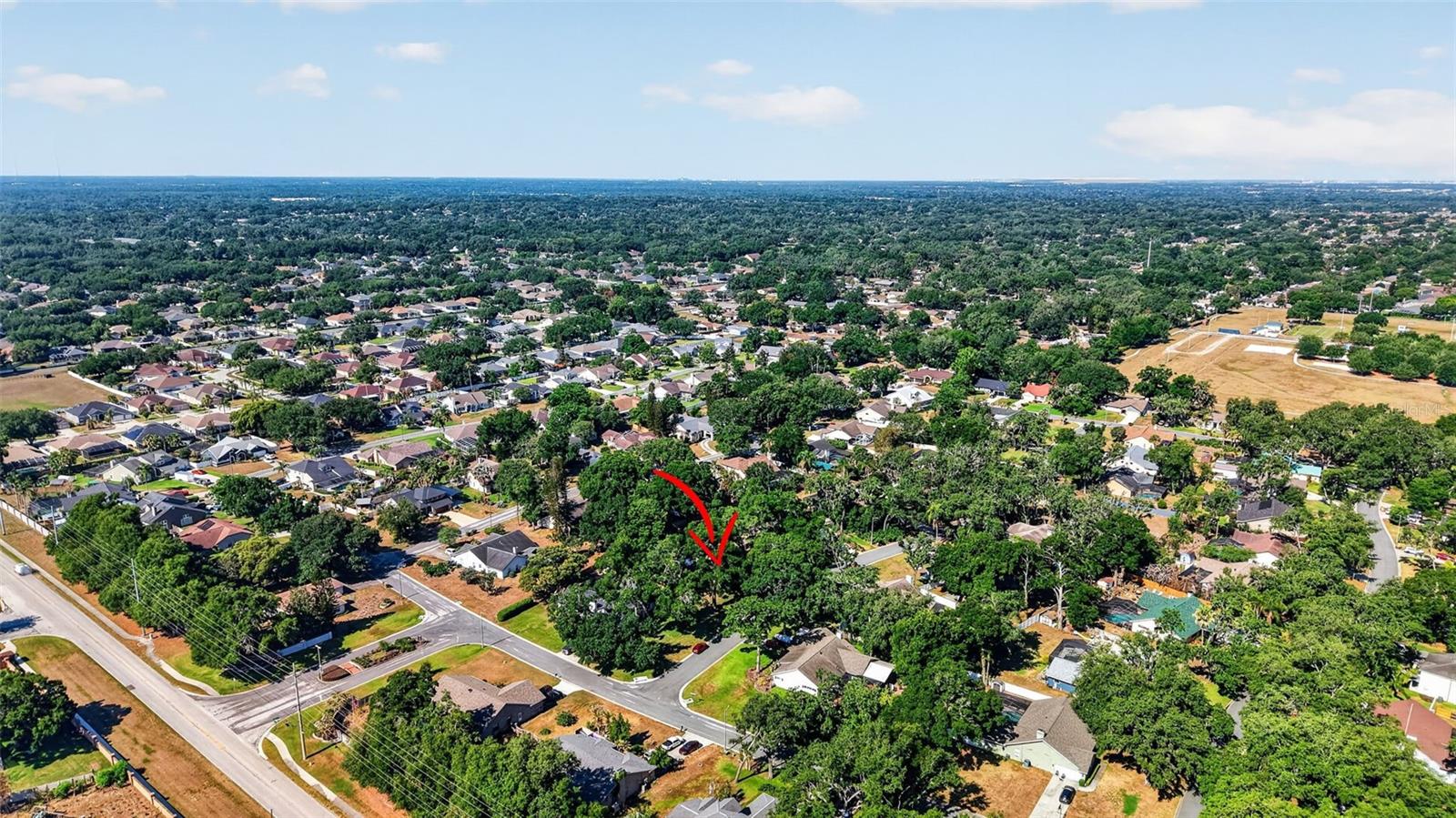 2713 WILLOW OAKS DR, VALRICO, FL, 33594
