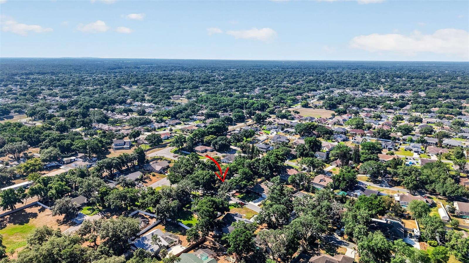 2713 WILLOW OAKS DR, VALRICO, FL, 33594