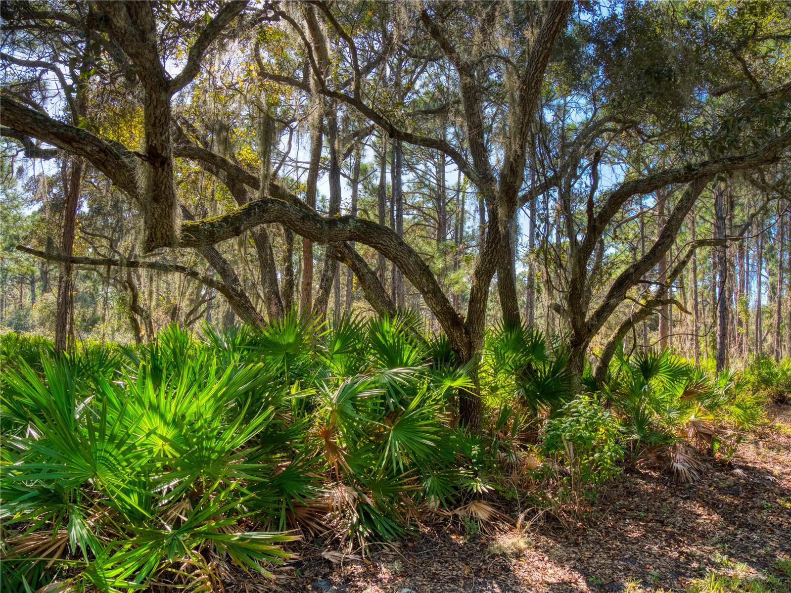1711 RIVERSIDE DR, ENGLEWOOD, FL, 34223