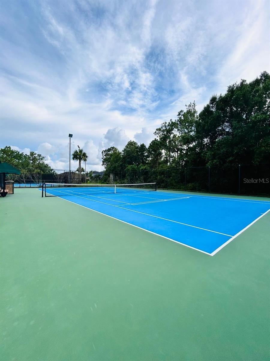 20719 GREAT LAUREL AVE, TAMPA, FL, 33647