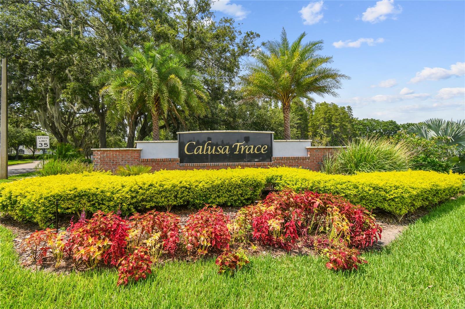 4108 SPARROW CT, LUTZ, FL, 33558
