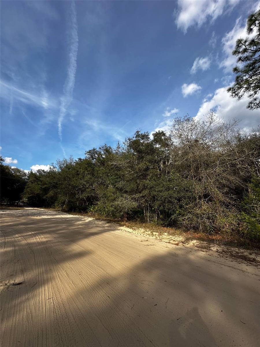 13-10-24-4079-0060-0040, INTERLACHEN, FL, 32148
