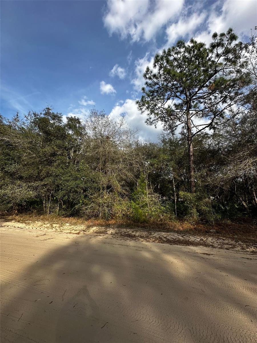 13-10-24-4079-0060-0040, INTERLACHEN, FL, 32148