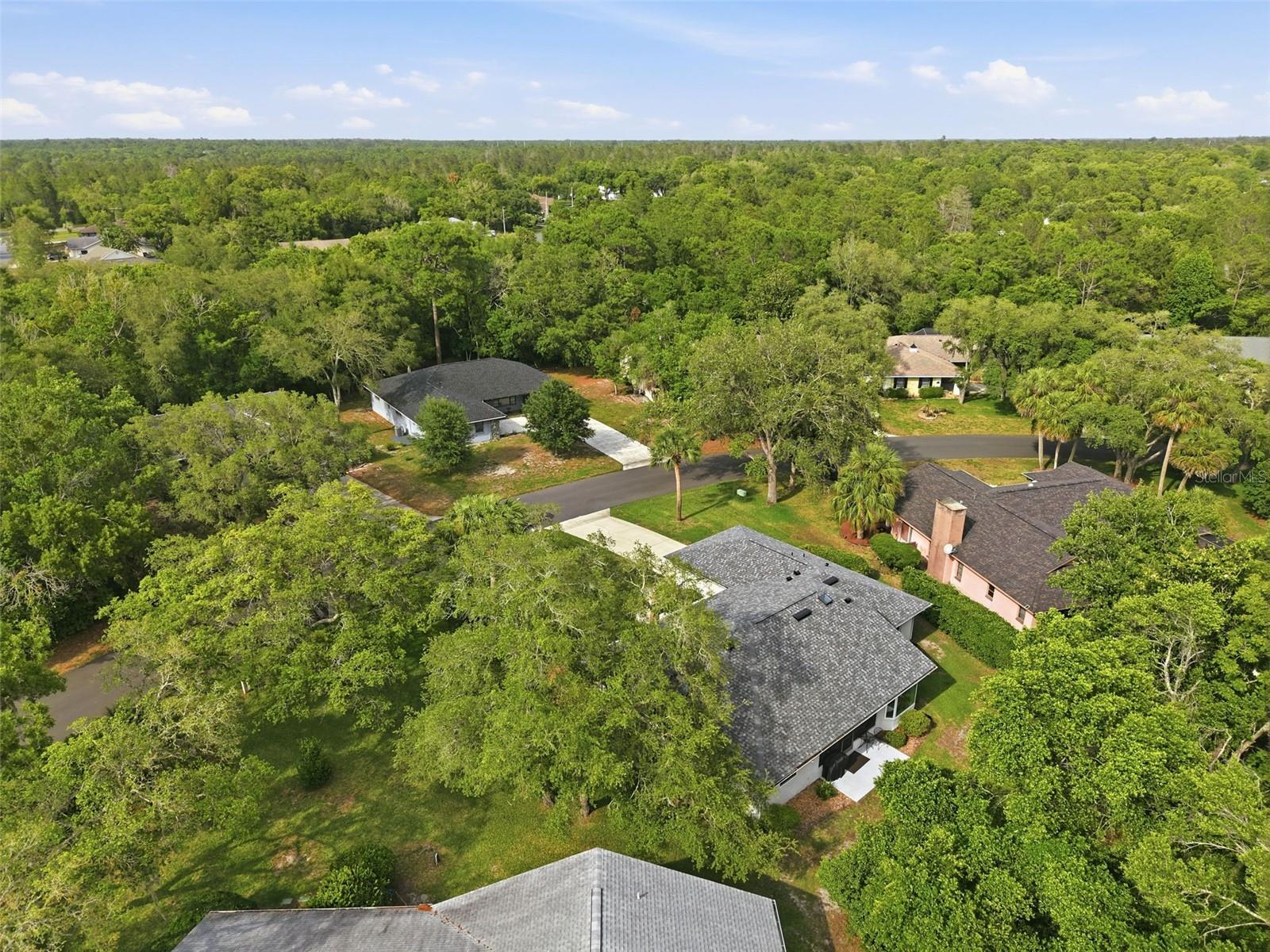 7 SALVIA CT W, HOMOSASSA, FL, 34446