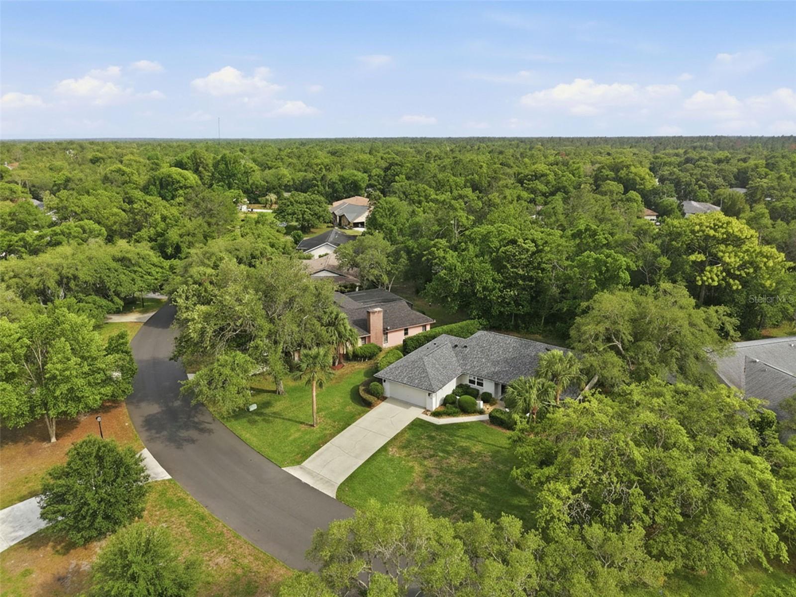 7 SALVIA CT W, HOMOSASSA, FL, 34446