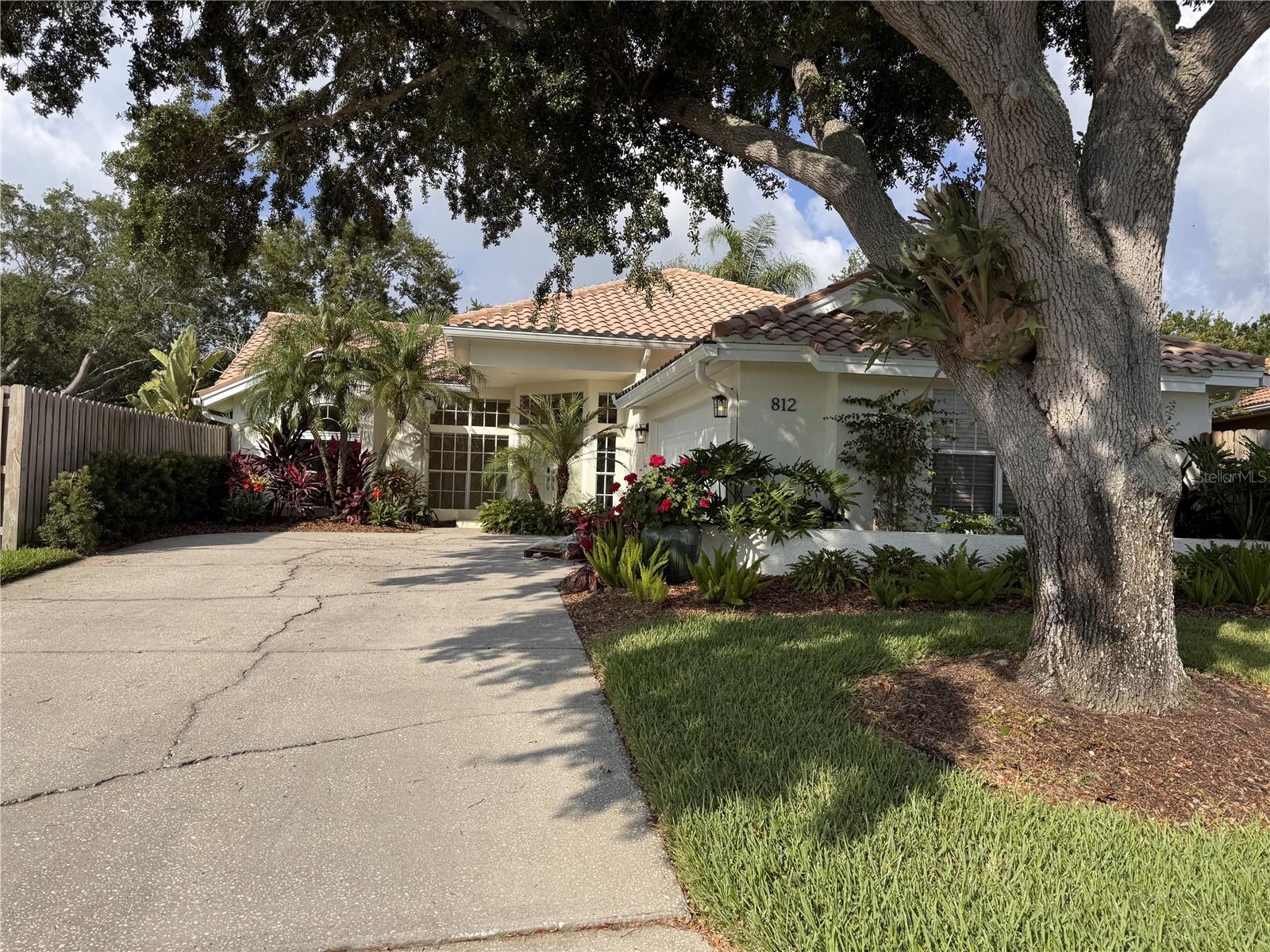 812 LIVE OAK TER NE, ST PETERSBURG, FL, 33703