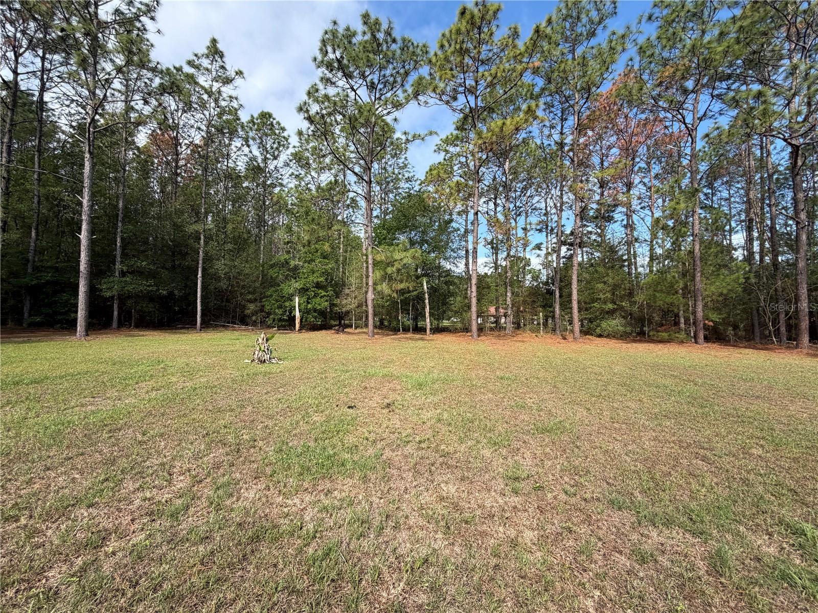 12748 NW 148TH TER, ALACHUA, FL, 32615