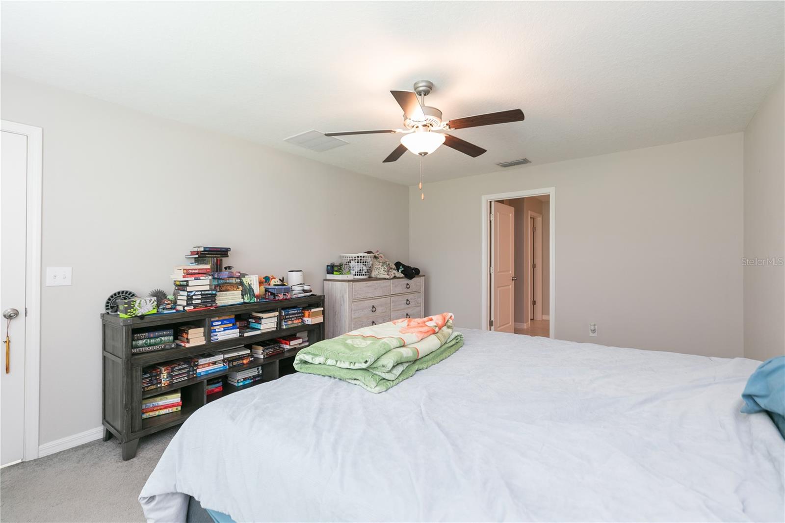 13608 WILLOW BLUESTAR LOOP, RIVERVIEW, FL, 33579