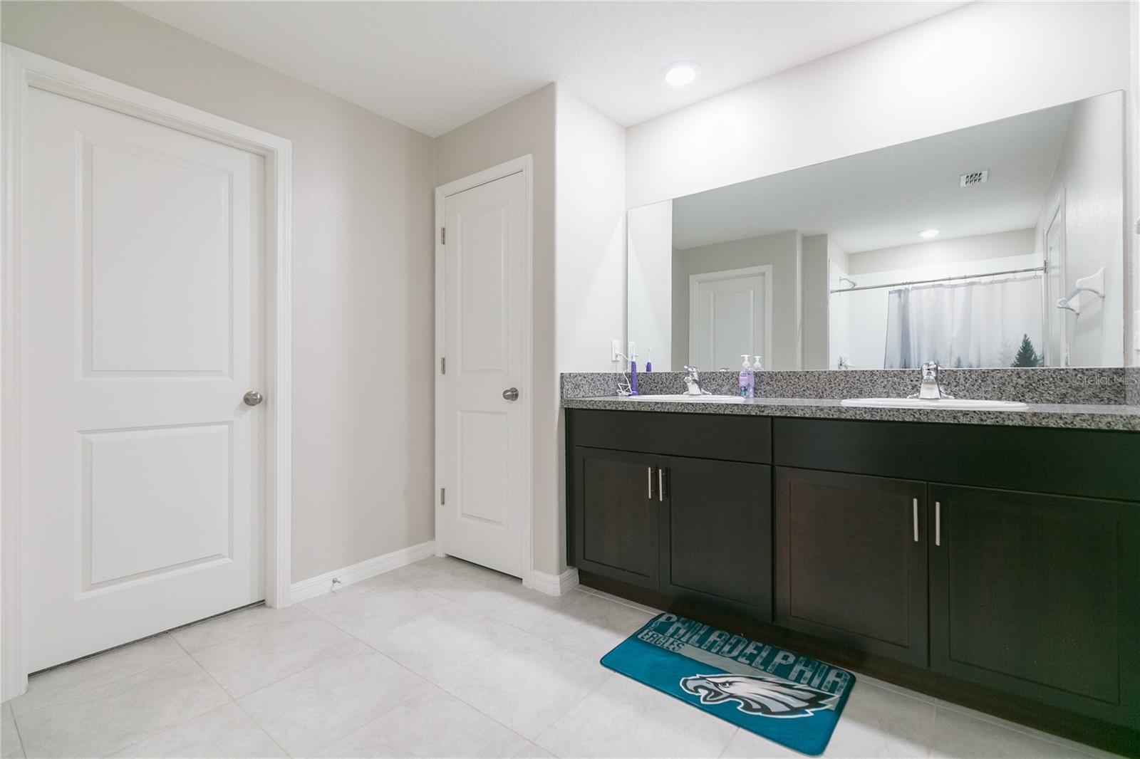 13608 WILLOW BLUESTAR LOOP, RIVERVIEW, FL, 33579