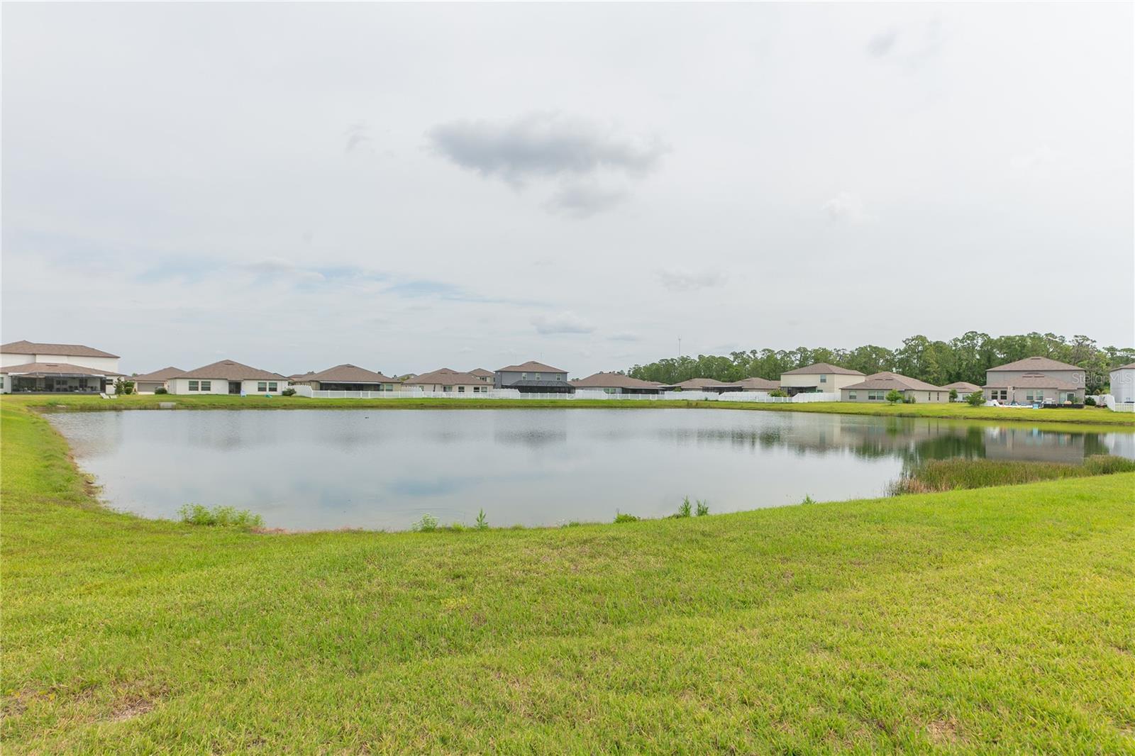 13608 WILLOW BLUESTAR LOOP, RIVERVIEW, FL, 33579