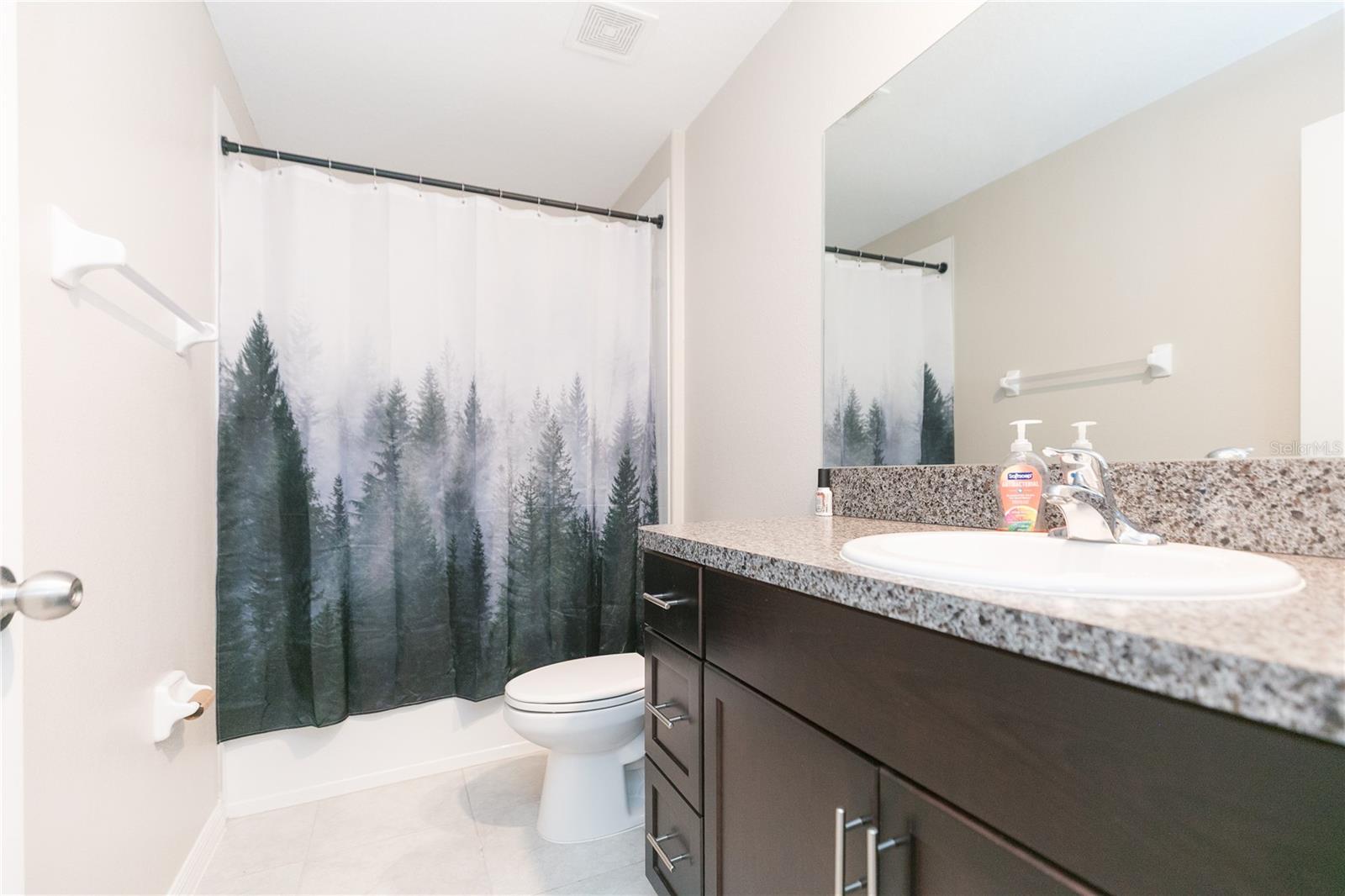 13608 WILLOW BLUESTAR LOOP, RIVERVIEW, FL, 33579