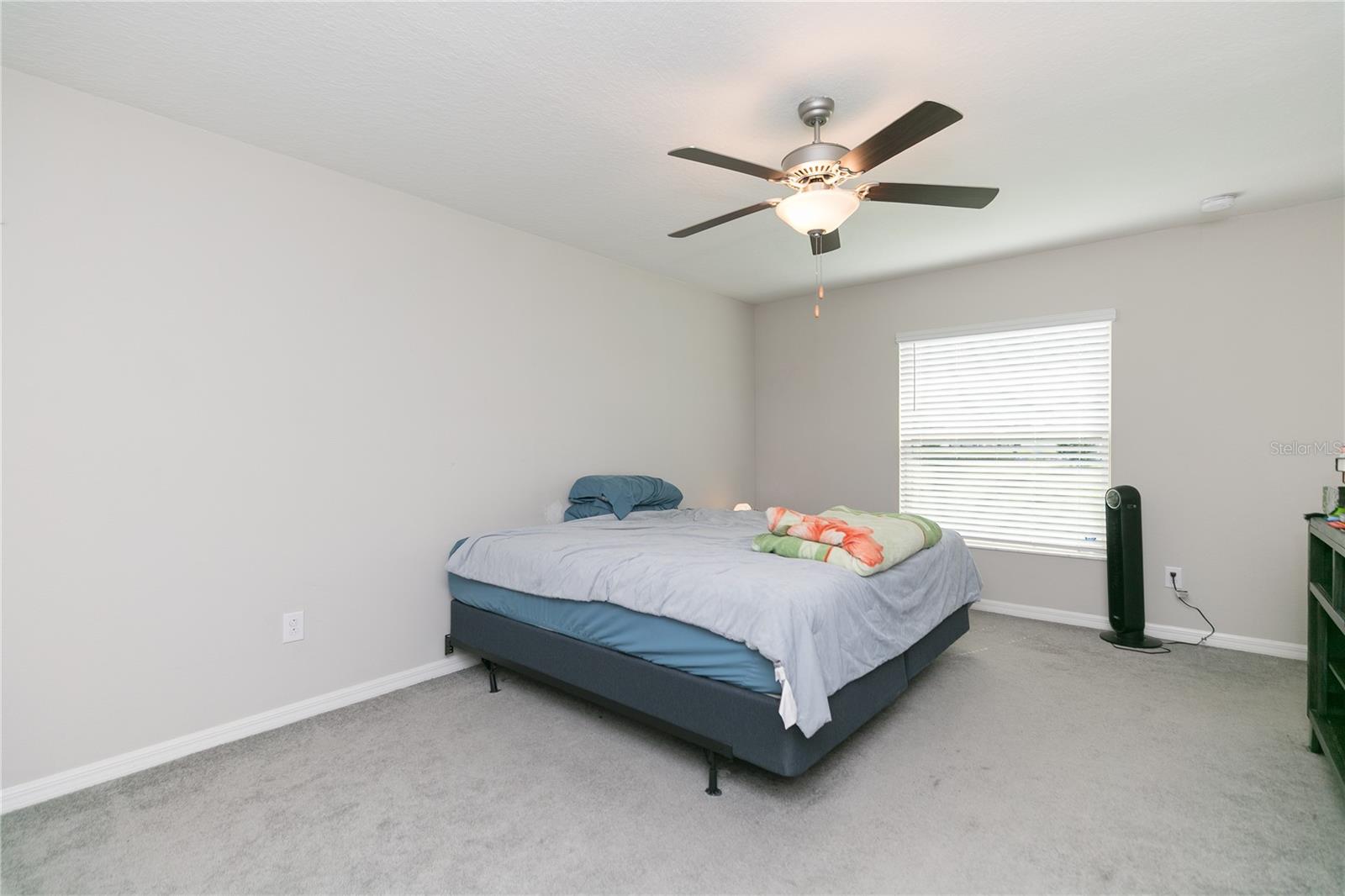 13608 WILLOW BLUESTAR LOOP, RIVERVIEW, FL, 33579
