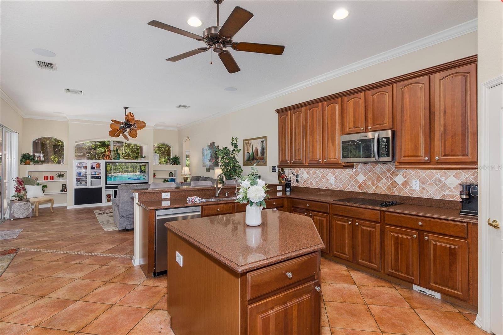 1739 MOUNTAIN ASH WAY, NEW PORT RICHEY, FL, 34655