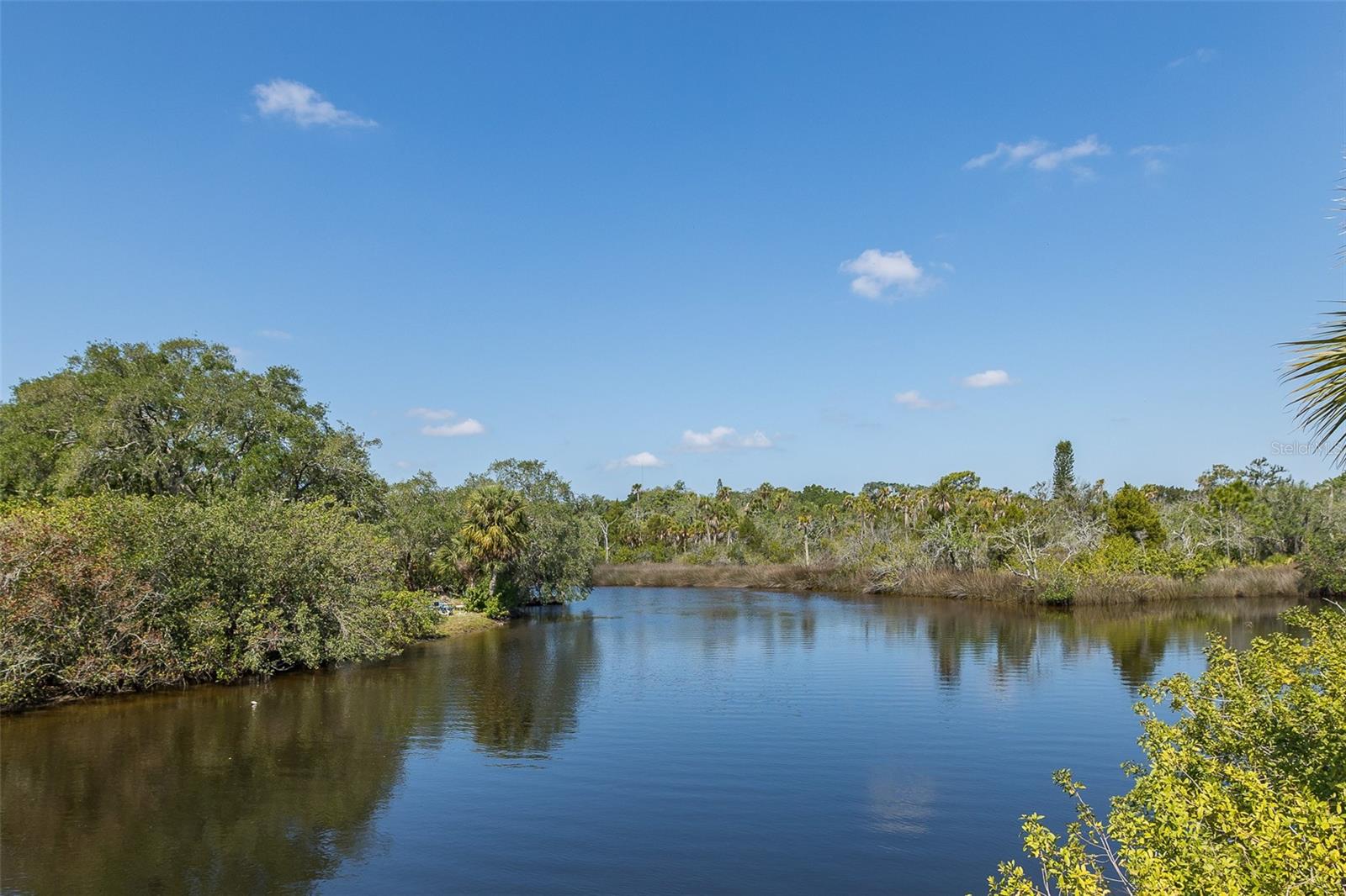 1739 MOUNTAIN ASH WAY, NEW PORT RICHEY, FL, 34655