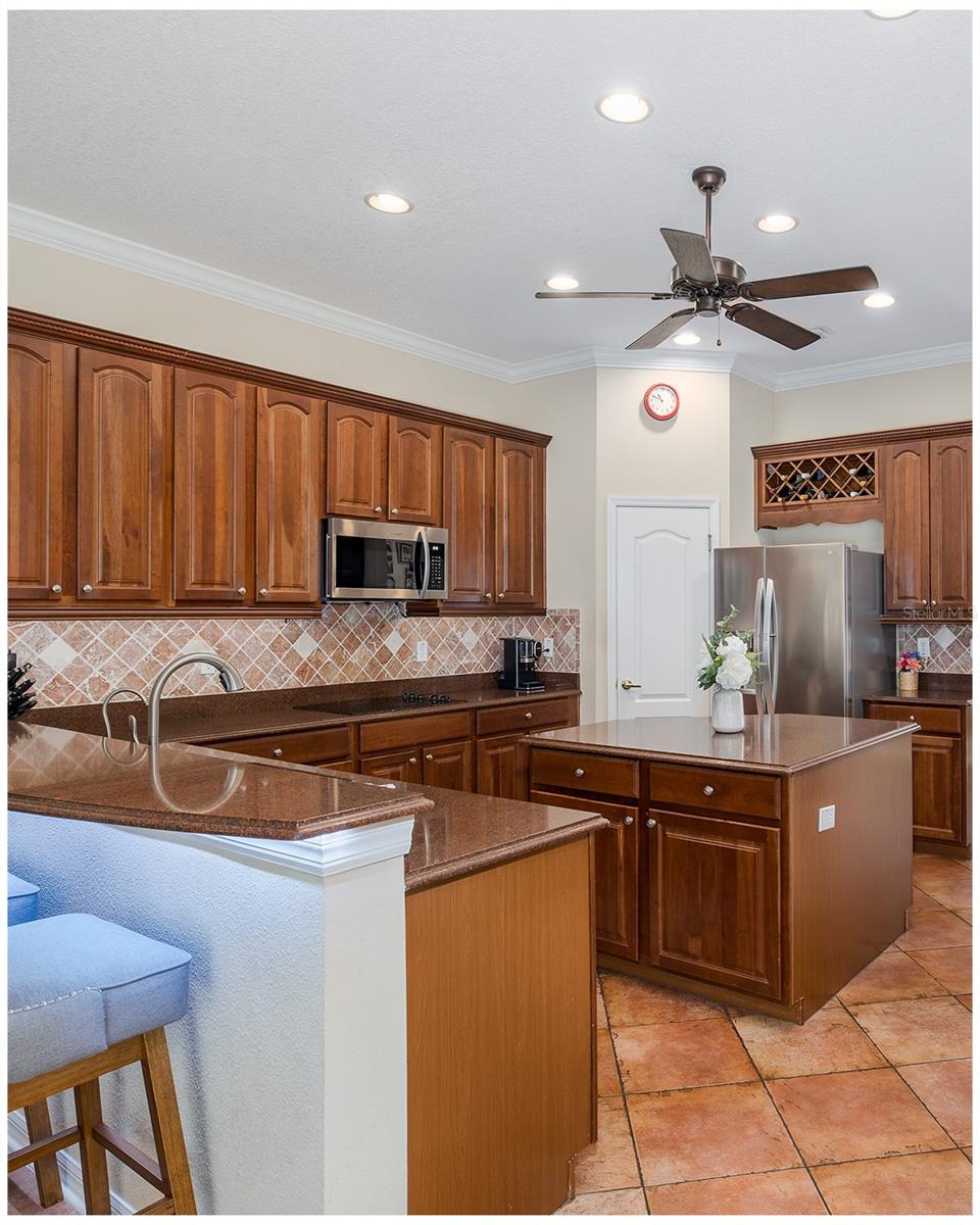 1739 MOUNTAIN ASH WAY, NEW PORT RICHEY, FL, 34655