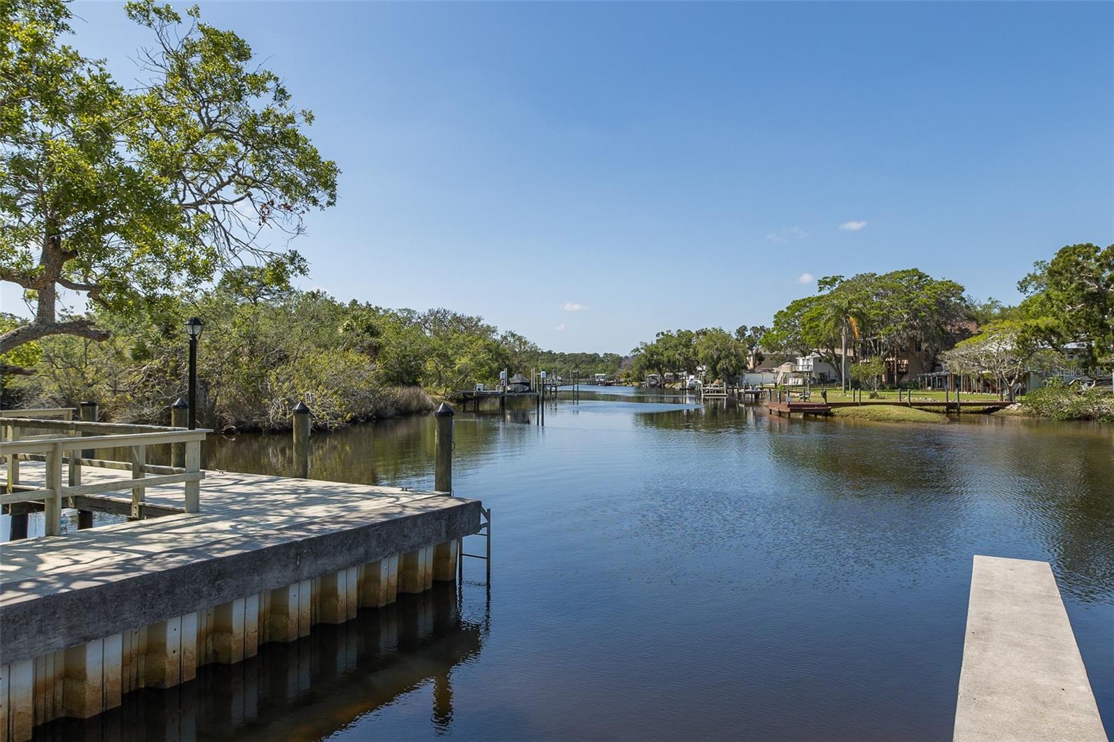1739 MOUNTAIN ASH WAY, NEW PORT RICHEY, FL, 34655