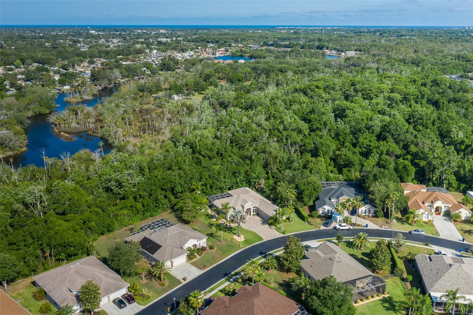 1739 MOUNTAIN ASH WAY, NEW PORT RICHEY, FL, 34655