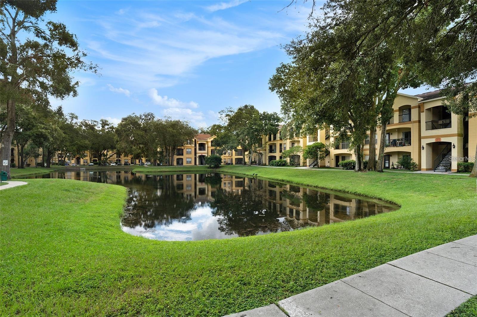 5618 PINNACLE HEIGHTS CIR #206, TAMPA, FL, 33624