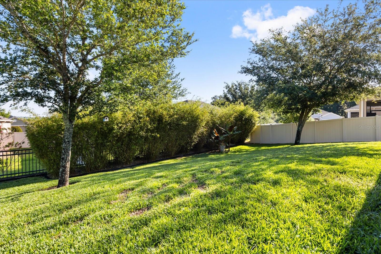 2948 FOXTAIL BND, OCOEE, FL, 34761
