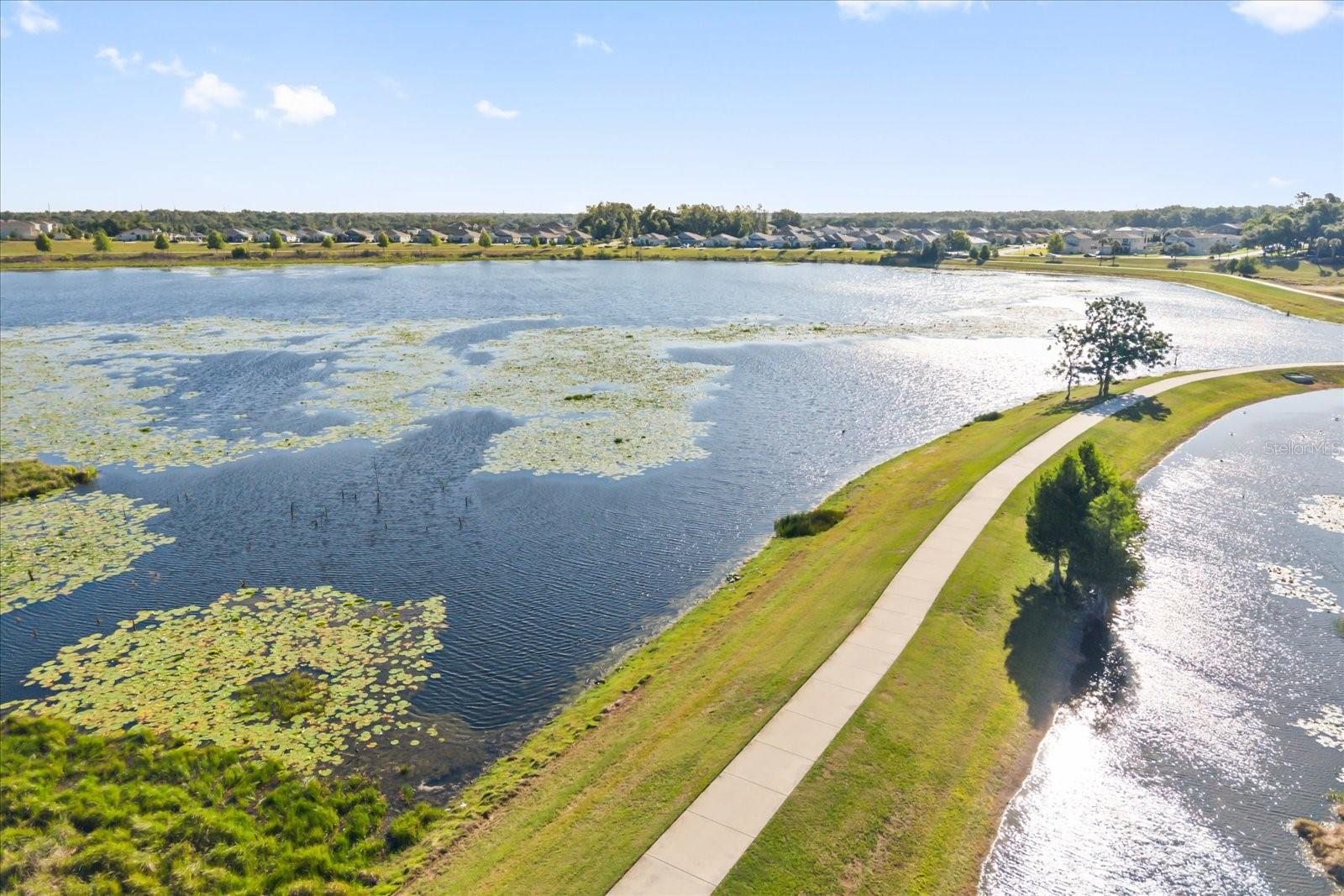 2948 FOXTAIL BND, OCOEE, FL, 34761