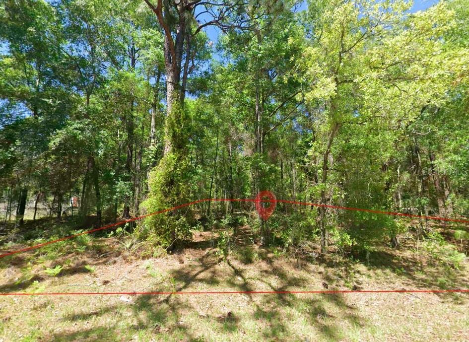 2581 W PHARAOH CT, LECANTO, FL, 34461