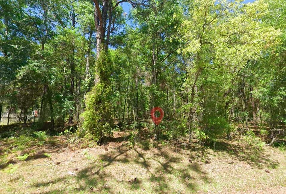 2581 W PHARAOH CT, LECANTO, FL, 34461