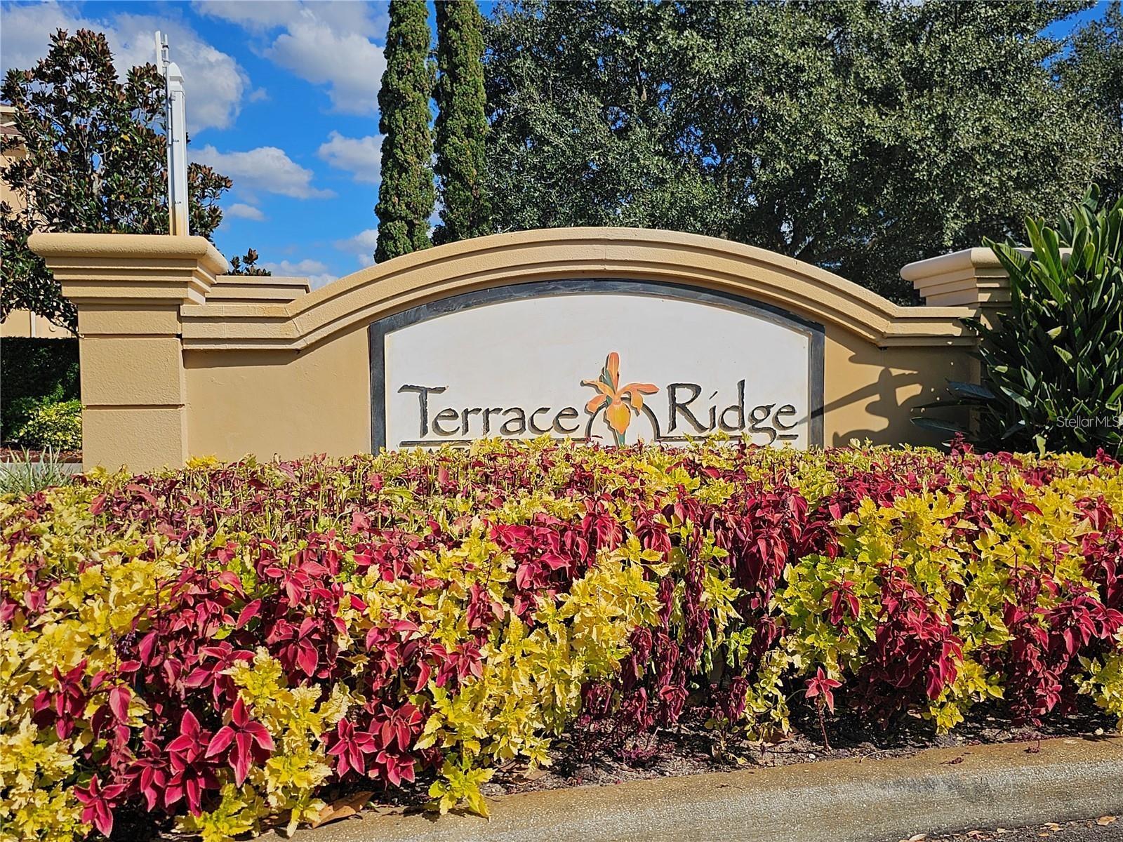202 TERRACE RIDGE CIR #202, DAVENPORT, FL, 33896