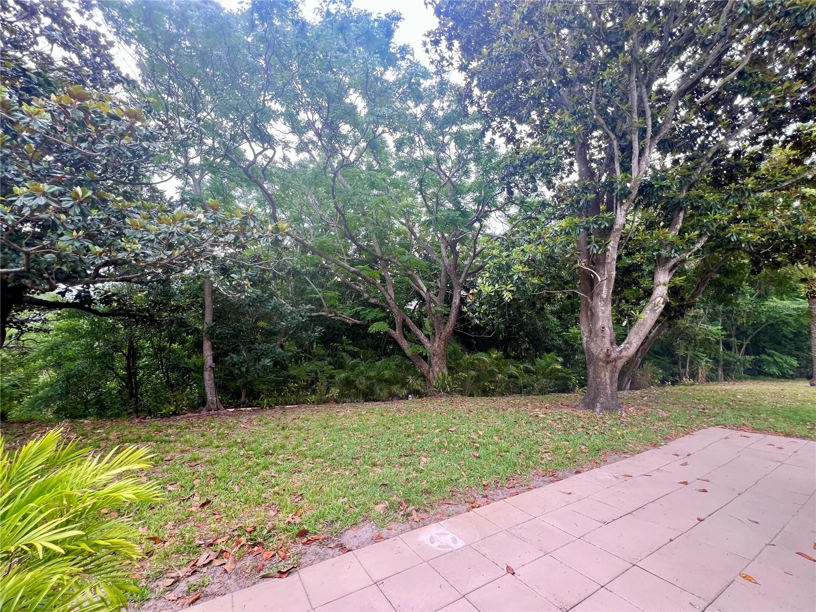 1349 MISSION CIR #48-F, CLEARWATER, FL, 33759