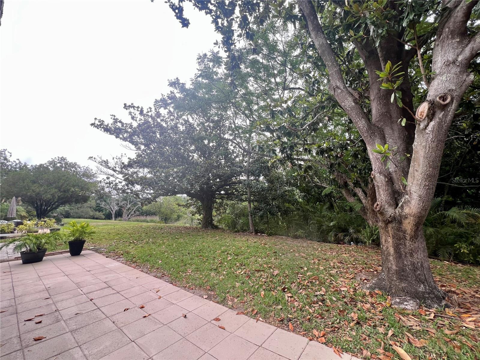 1349 MISSION CIR #48-F, CLEARWATER, FL, 33759