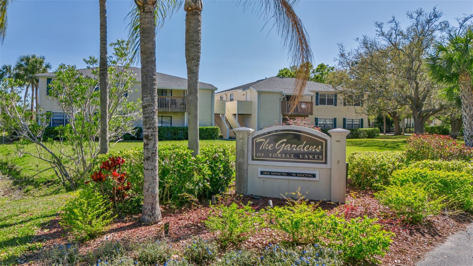 122 LOBLOLLY CT #C, OLDSMAR, FL, 34677
