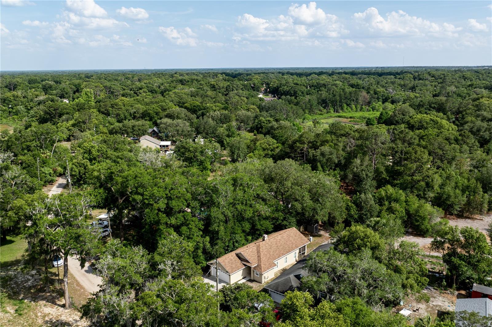 31080 LOCHMORE CIR, SORRENTO, FL, 32776