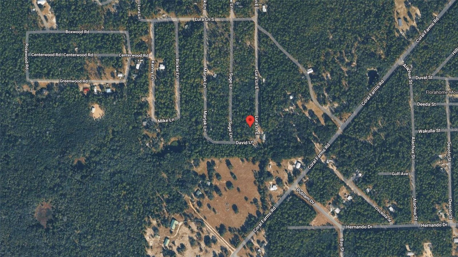 169 E LURA LN, FLORAHOME, FL, 32140