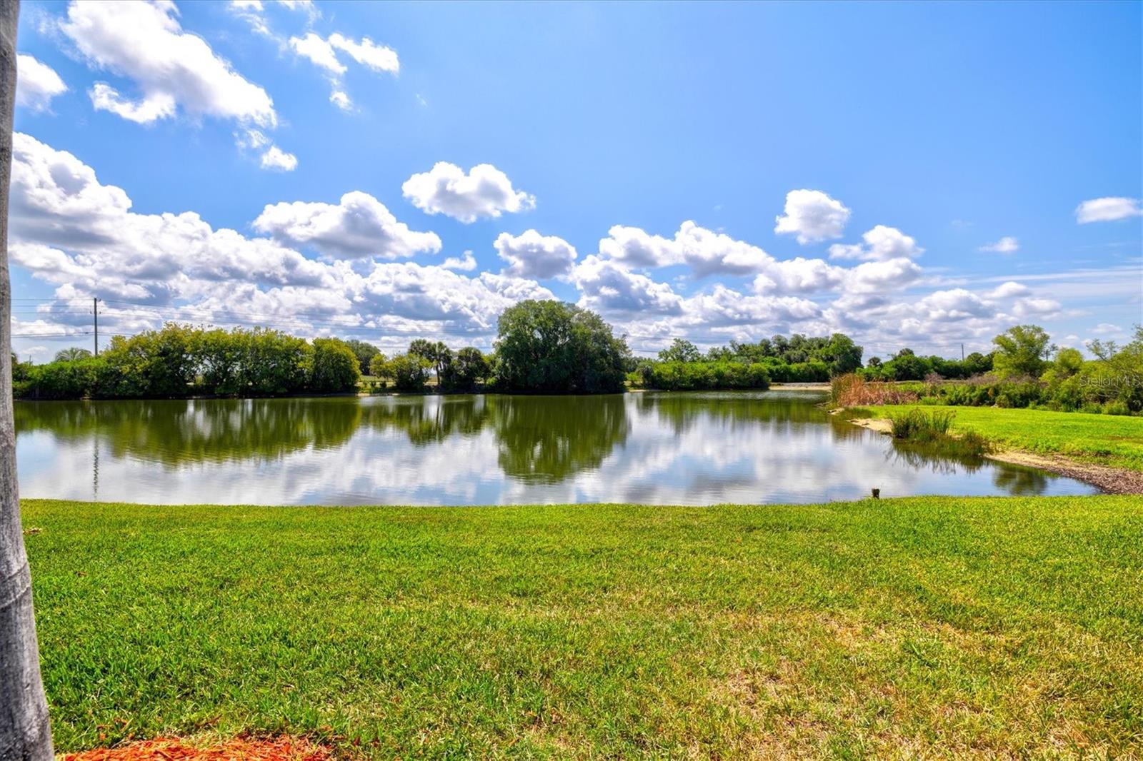 7365 S SERENOA DR, SARASOTA, FL, 34241