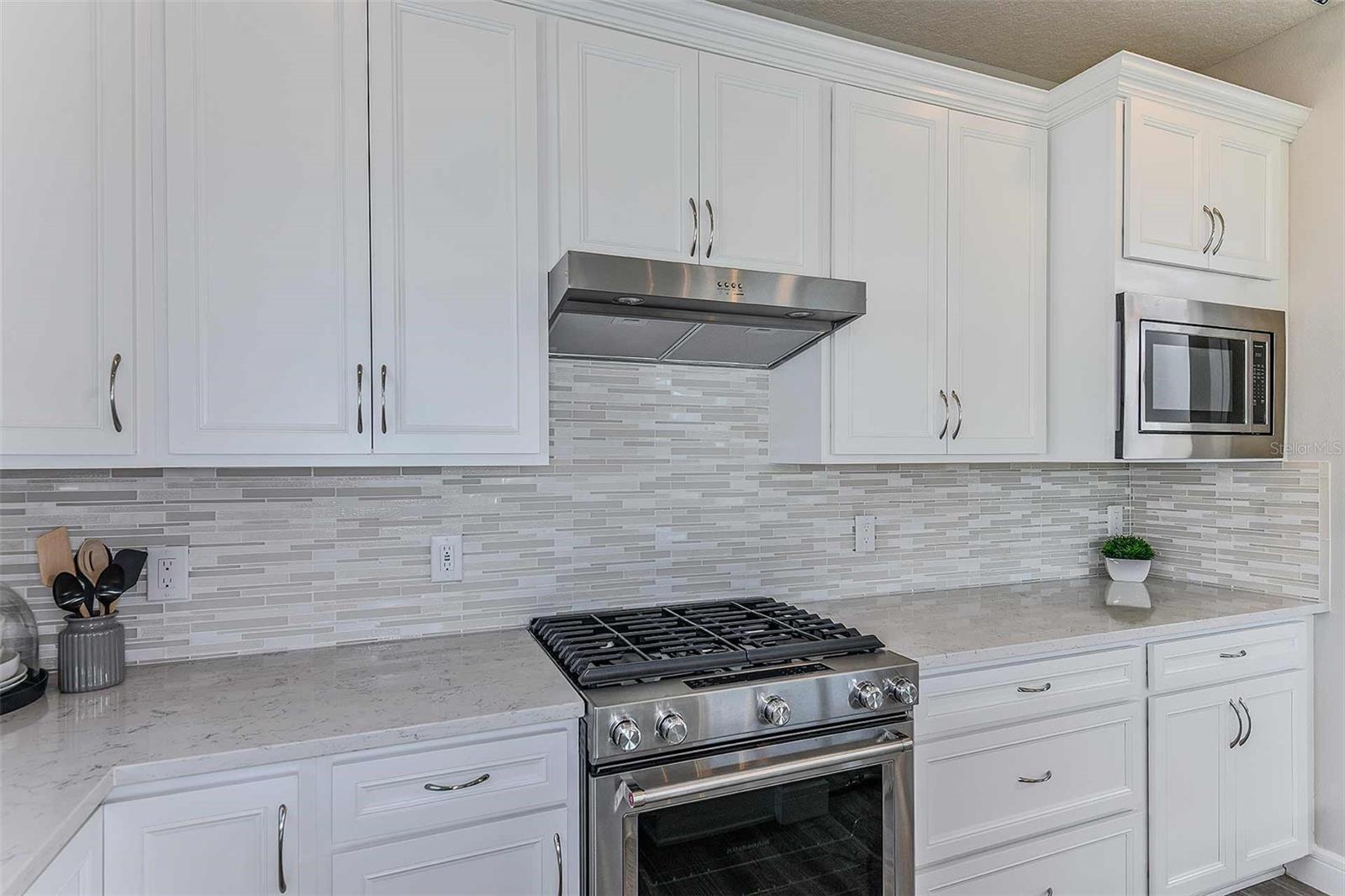 1105 CANOPY VIEW WAY, MINNEOLA, FL, 34715