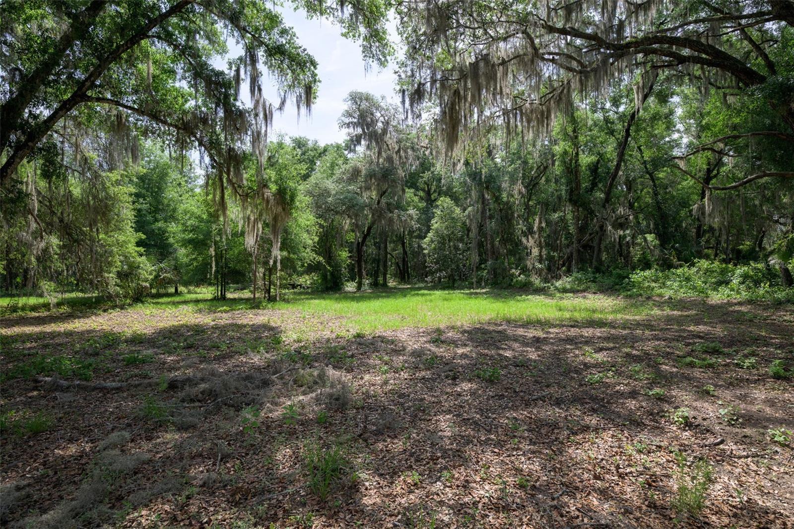 374 SISCO RD, POMONA PARK, FL, 32181