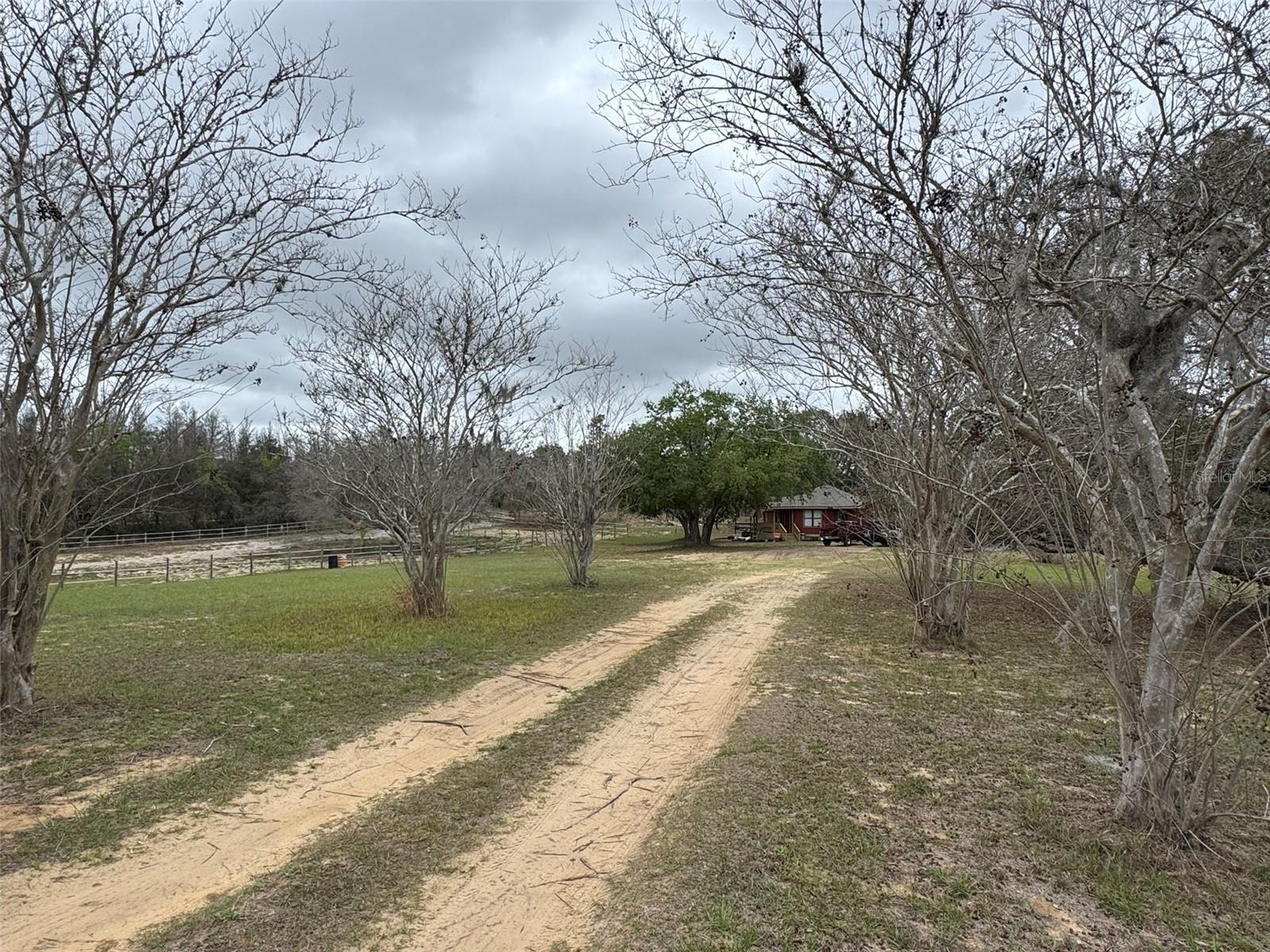 18001 PHIL C PETERS RD, WINTER GARDEN, FL, 34787