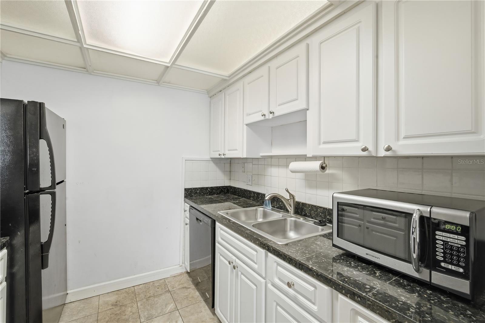 4315 AEGEAN DR #102 C, TAMPA, FL, 33611