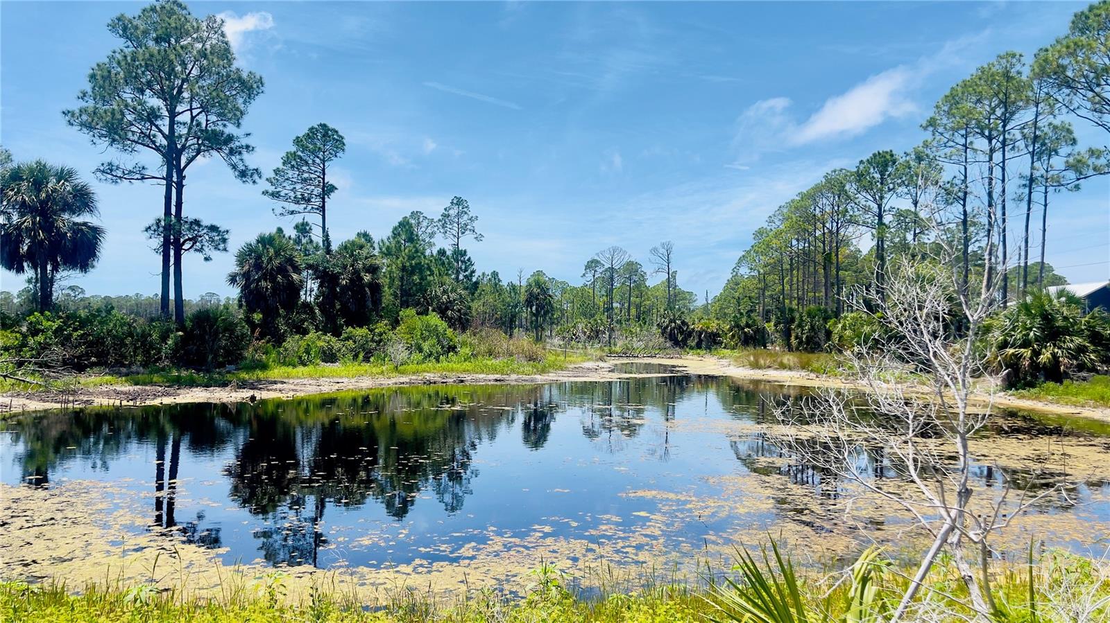 TBD SW 101ST LN, CEDAR KEY, FL, 32625