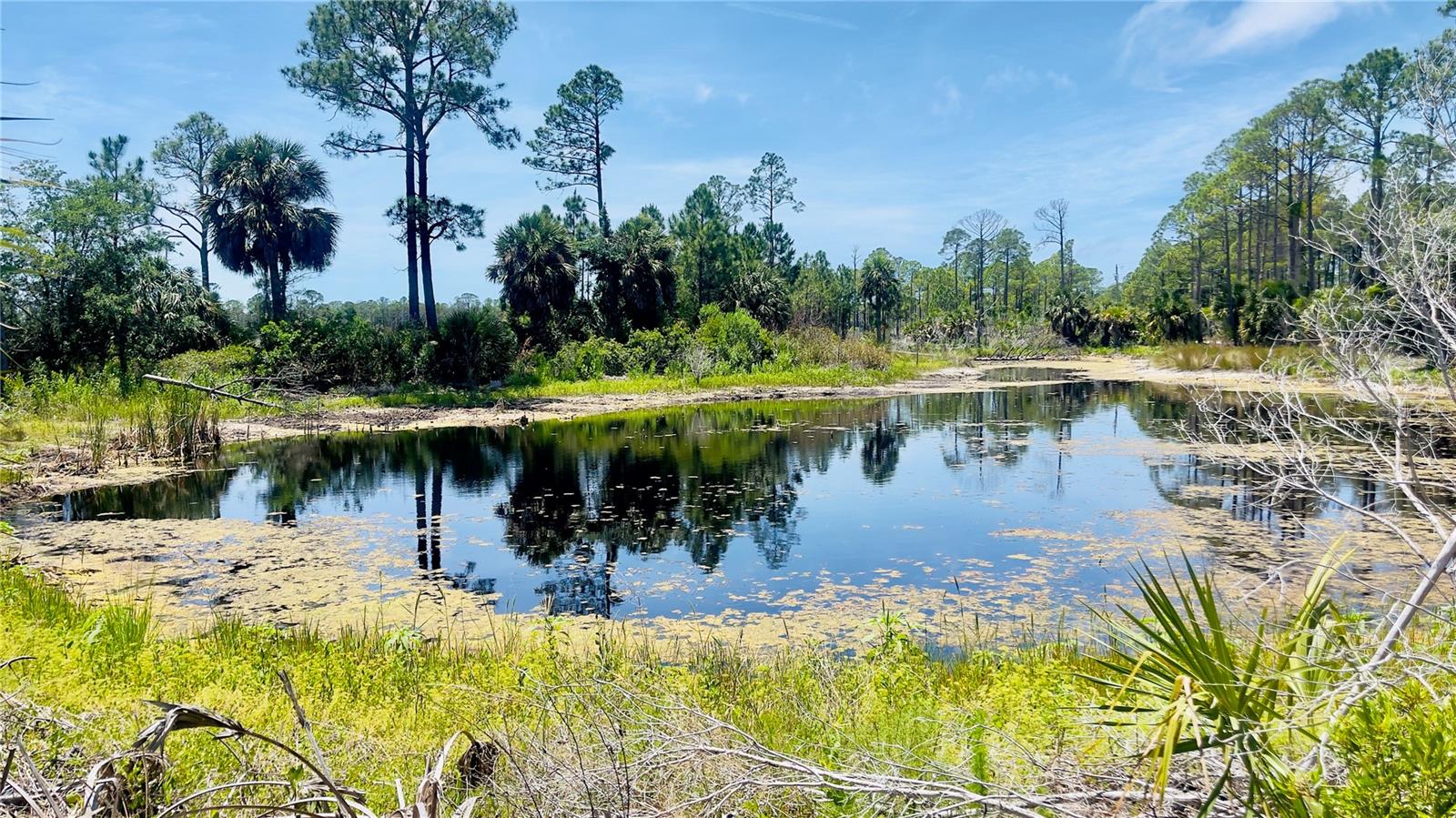 TBD SW 101ST LN, CEDAR KEY, FL, 32625