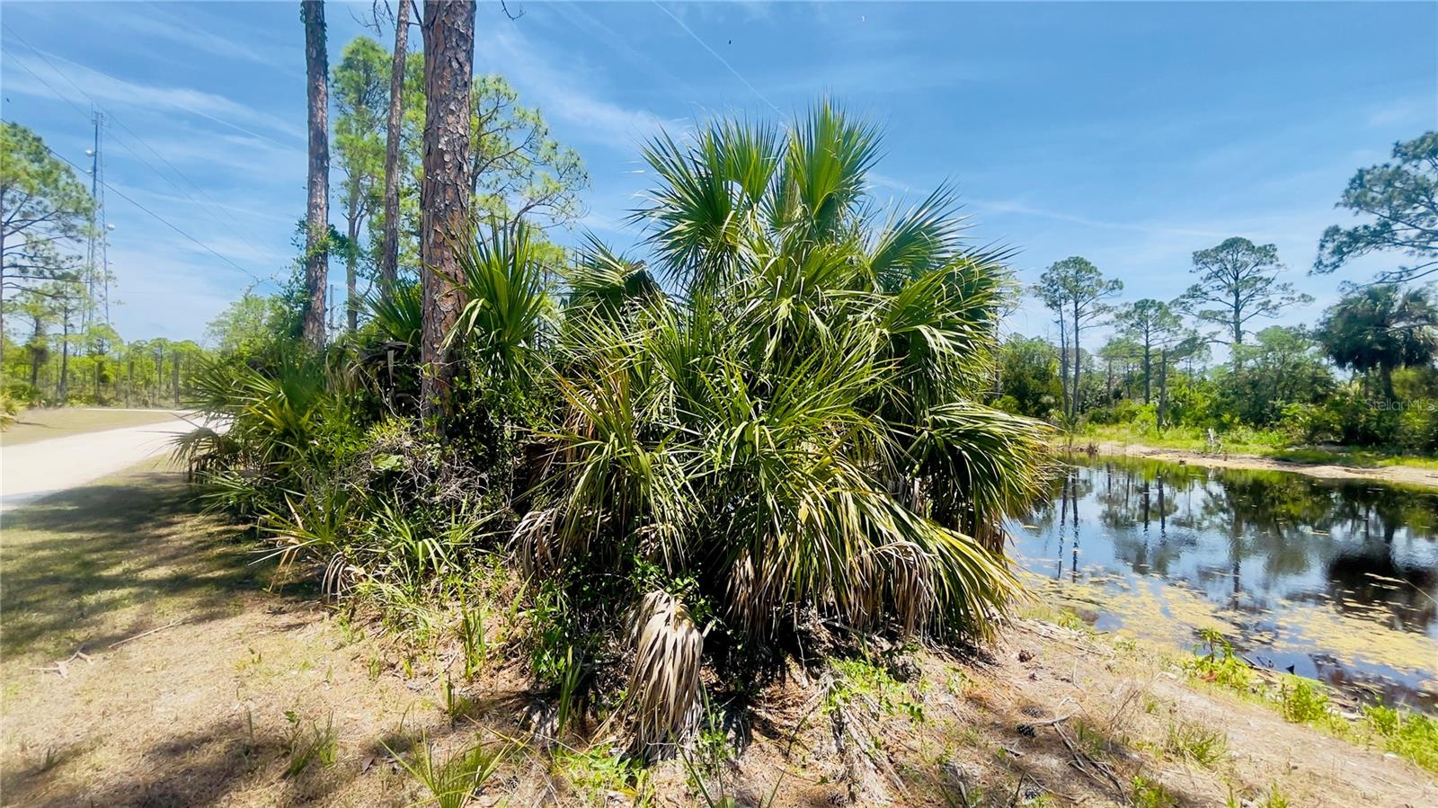 TBD SW 101ST LN, CEDAR KEY, FL, 32625